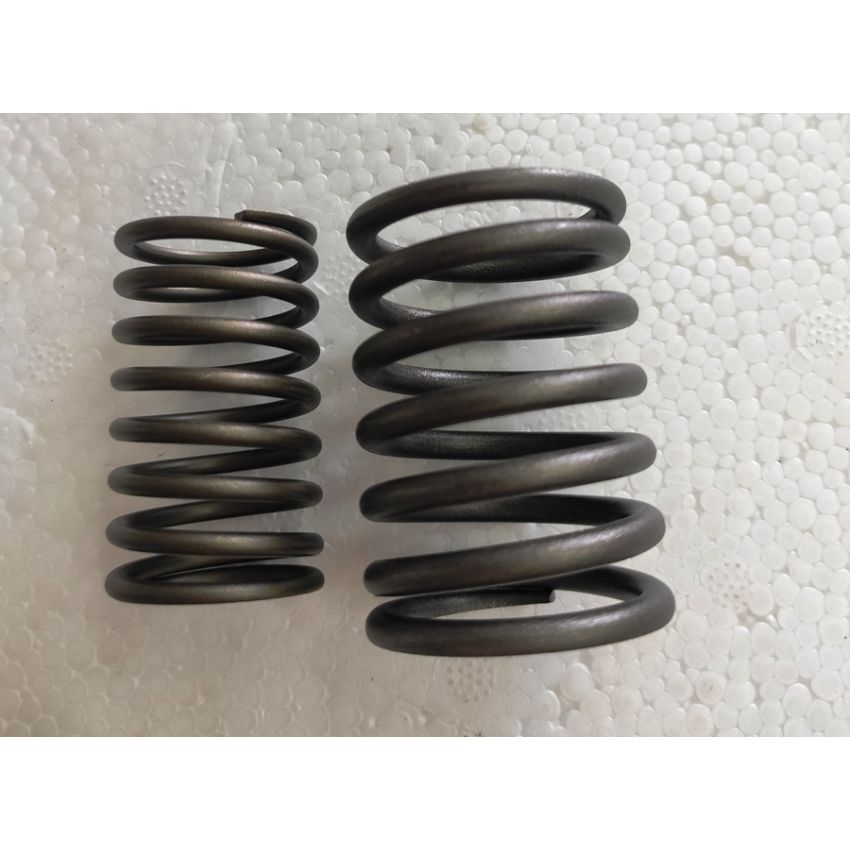 Mola de Válvula Dupla